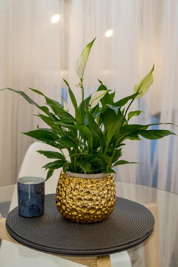 Opatija Pearl Apartment ภายนอก รูปภาพ